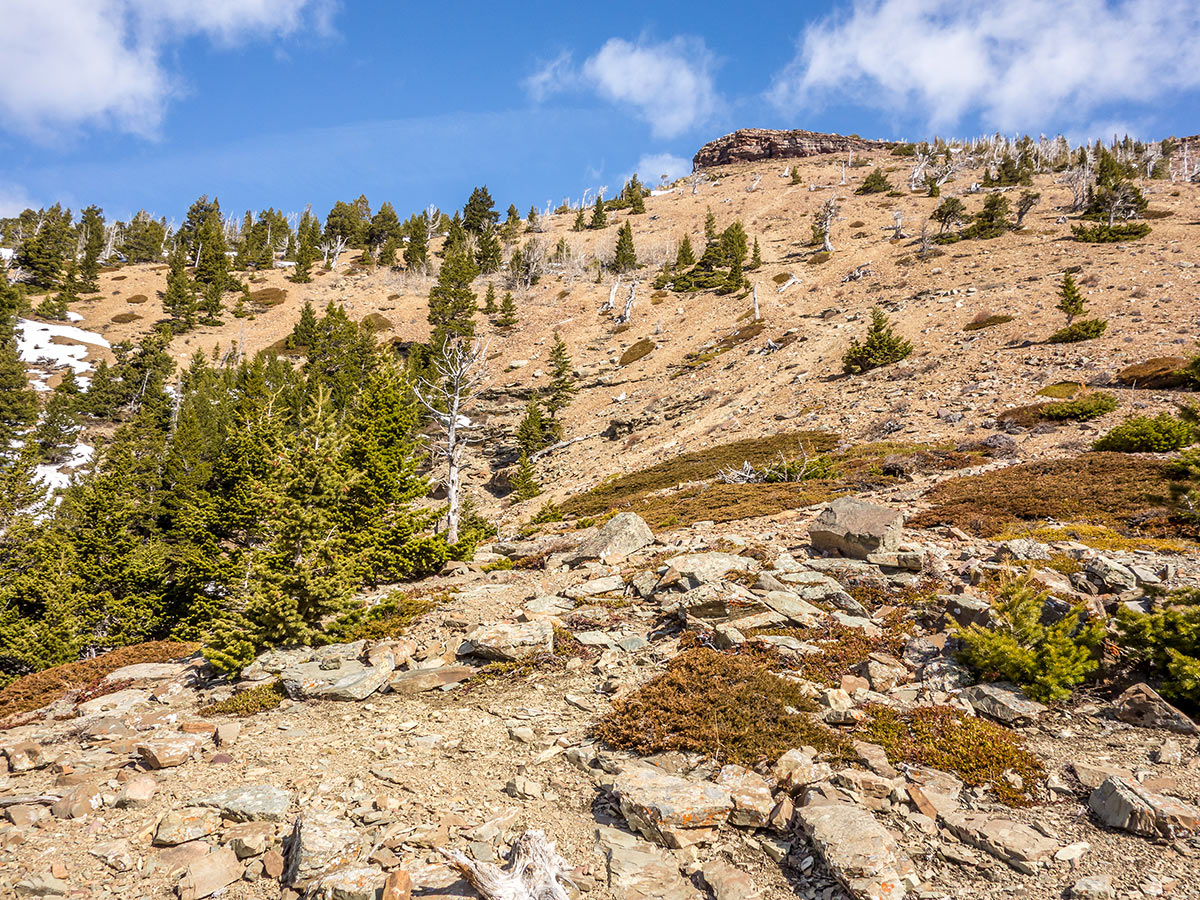 Ascent of Table Mountain scrambling trail in Castle Provincial Park, Alberta