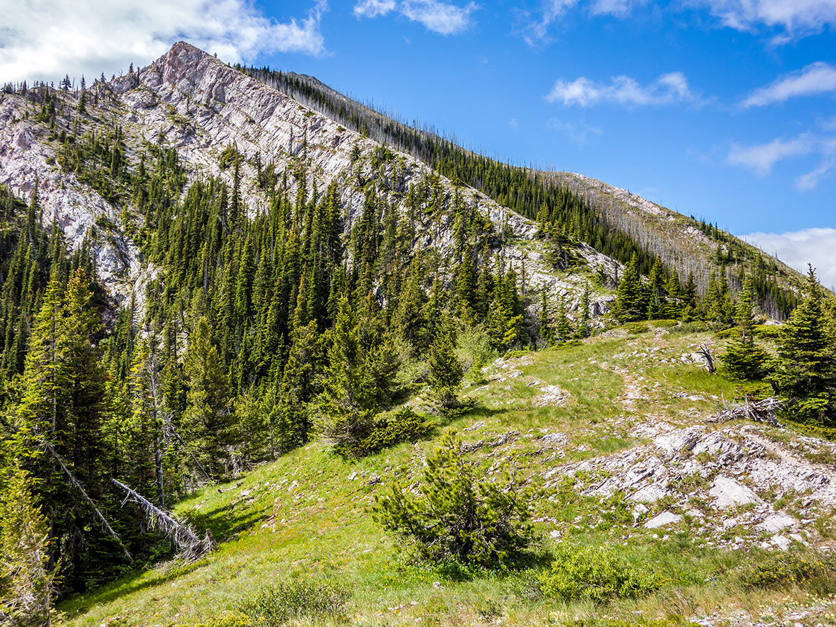 Ascent up the north summit of Turtle Mountain scramble in Castle Provincial Park, Alberta