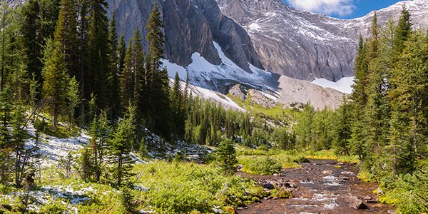 Great backpacking routes near Kananaskis and Canmore in Alberta