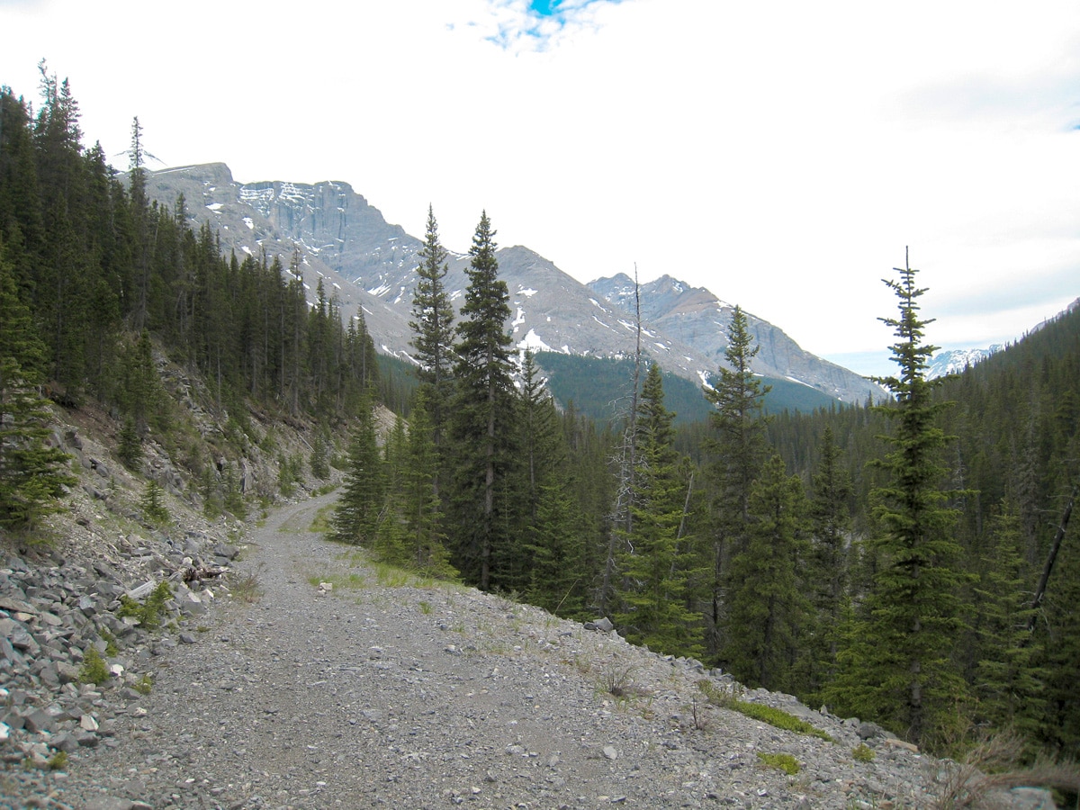 Easy trailfinding on Big Elbow Loop backpacking trail near Kananaskis, the Canadian Rockies
