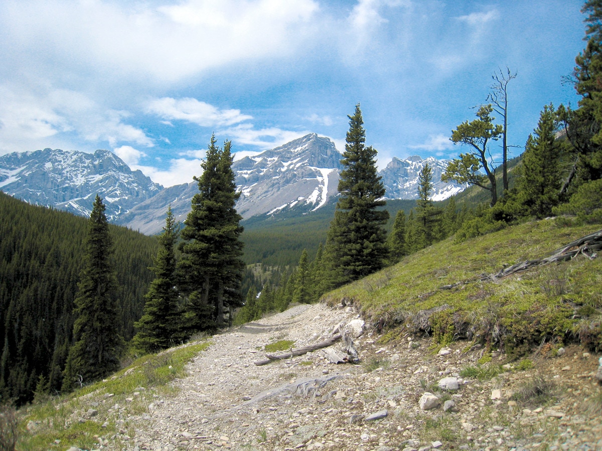 Nice views on Big Elbow Loop backpacking trail near Kananaskis, the Canadian Rockies