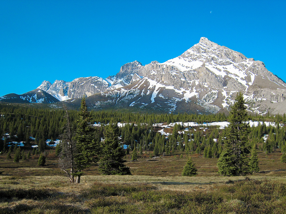 Great scenery on Big Elbow Loop backpacking trail near Kananaskis, the Canadian Rockies