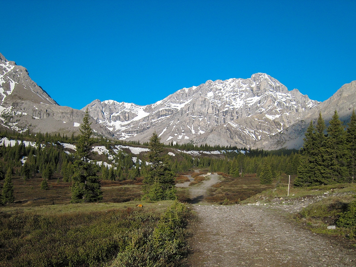 Easy path on Big Elbow Loop backpacking trail near Kananaskis, the Canadian Rockies