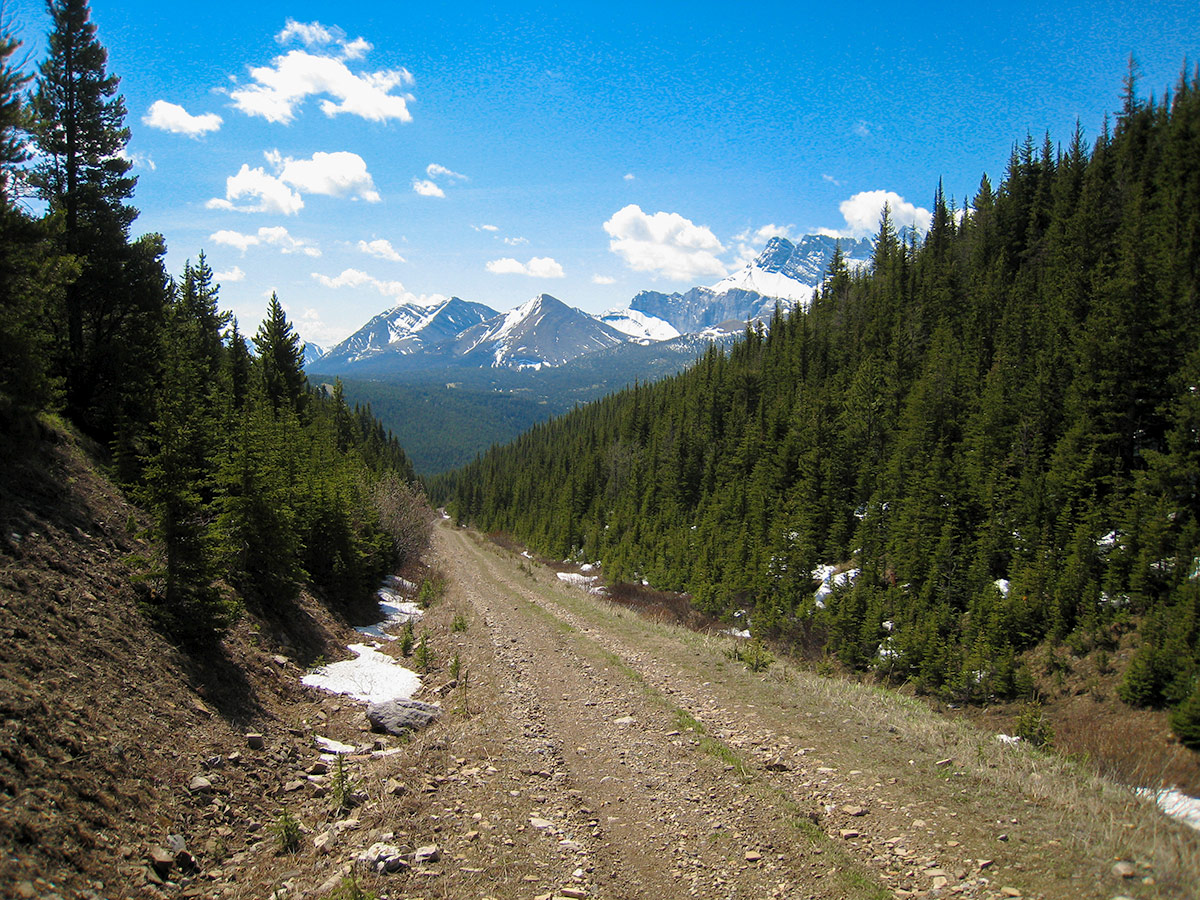 Logging road on Big Elbow Loop backpacking trail near Kananaskis, the Canadian Rockies