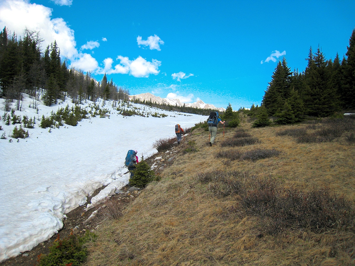 Early season snow on Big Elbow Loop backpacking trail near Kananaskis, the Canadian Rockies