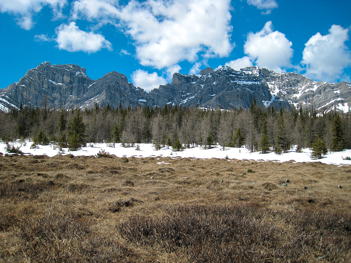 Beautiful views on Big Elbow Loop backpacking trail near Kananaskis, the Canadian Rockies