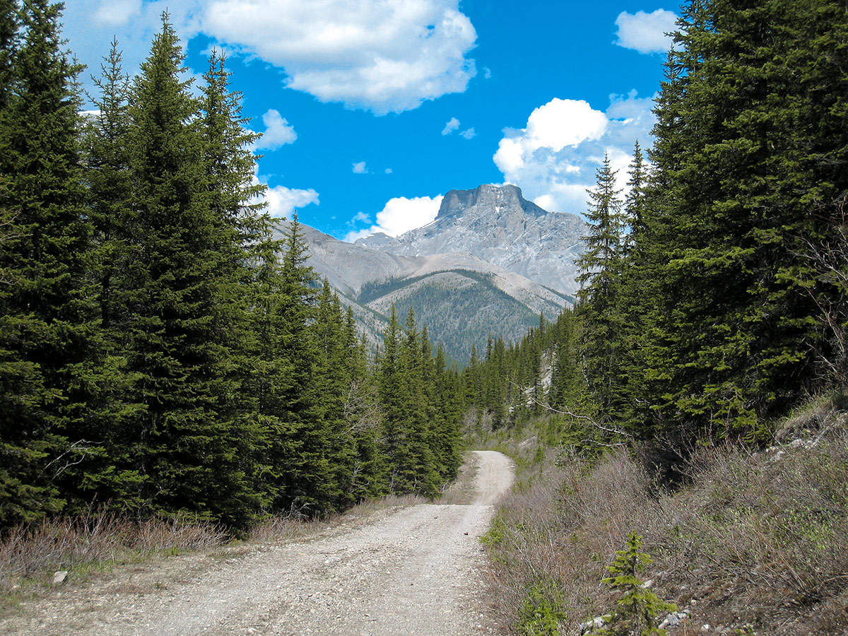 Route back on Big Elbow Loop backpacking trail near Kananaskis, the Canadian Rockies