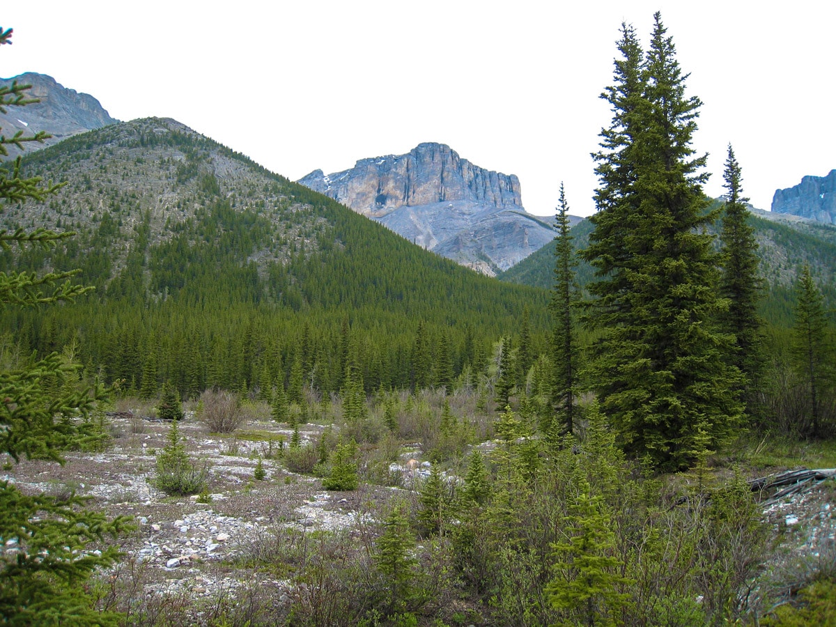 Beautiful peaks along Big Elbow Loop backpacking trail near Kananaskis, the Canadian Rockies