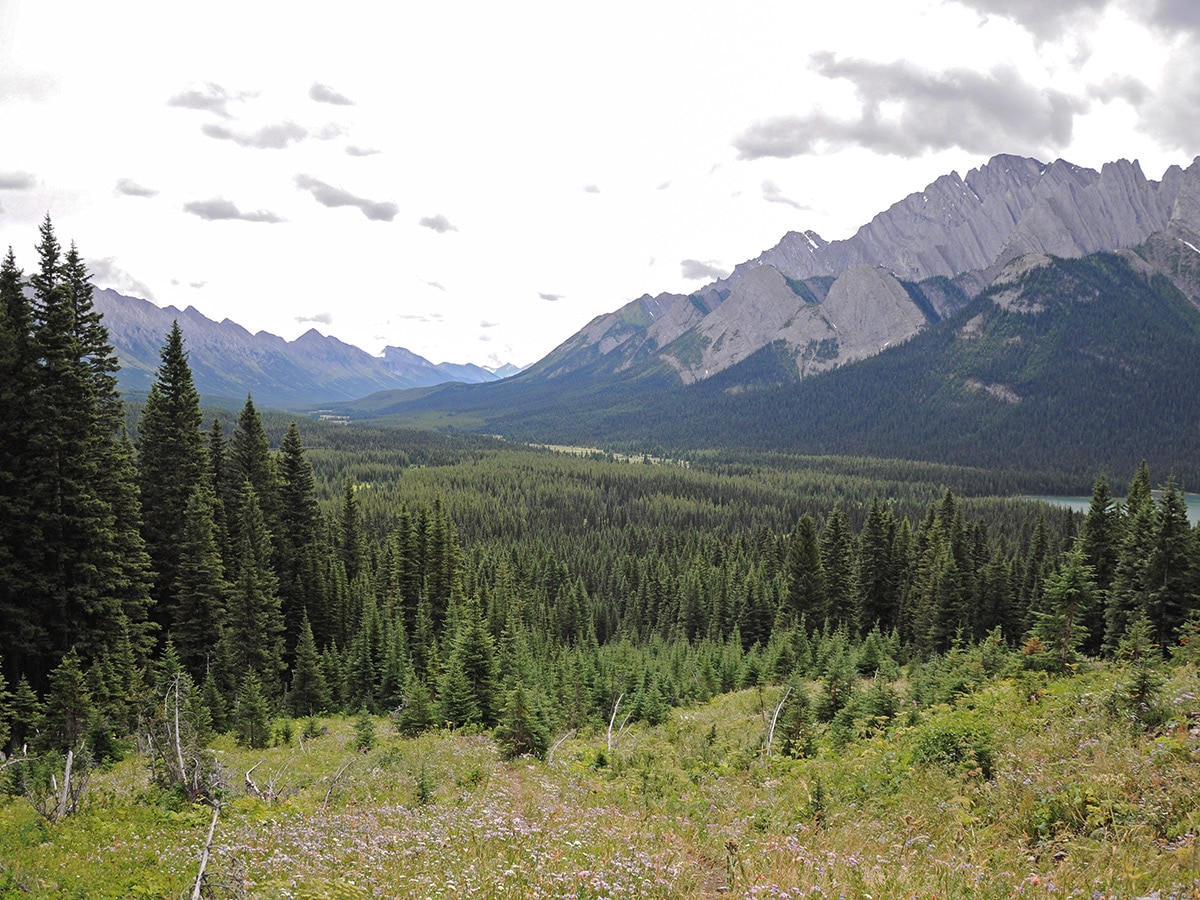 View of Lower Elk Lake and Elk Valley on Elk Lakes and Petain Basin backpacking trail near Kananaskis, the Canadian Rockies