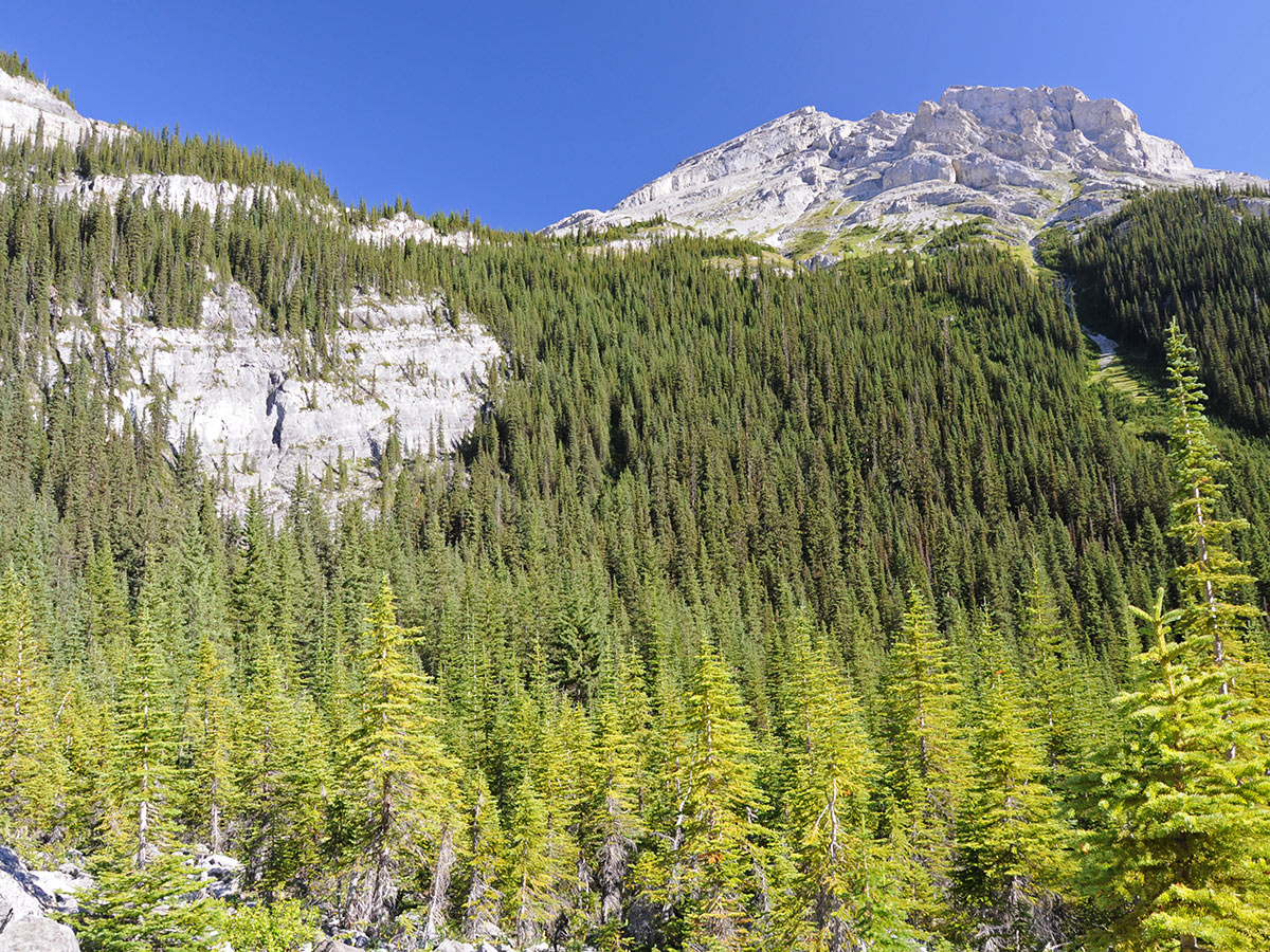 Headwall to Petain Basin on Elk Lakes and Petain Basin backpacking trail near Kananaskis, the Canadian Rockies