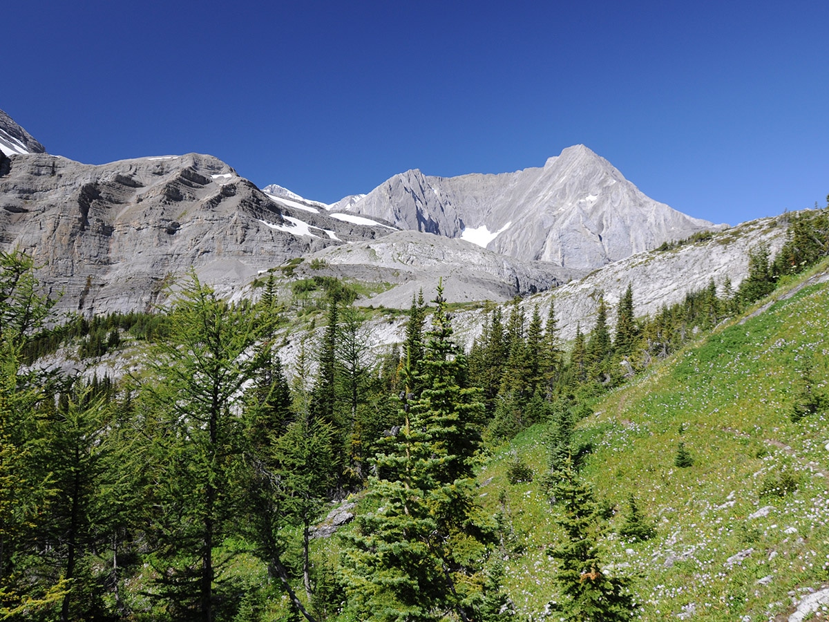 Mount Petain on Elk Lakes and Petain Basin backpacking trail near Kananaskis, the Canadian Rockies