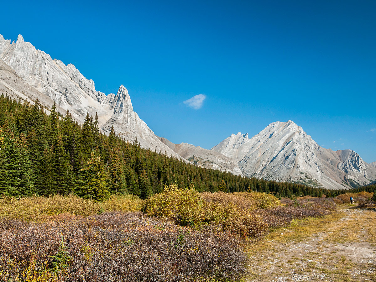 Great views on Rae Lake backpacking trail near Kananaskis, the Canadian Rockies