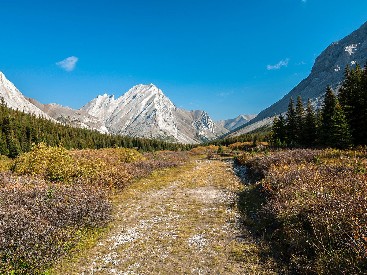 Easy to follow the path on Rae Lake backpacking trail near Kananaskis, the Canadian Rockies