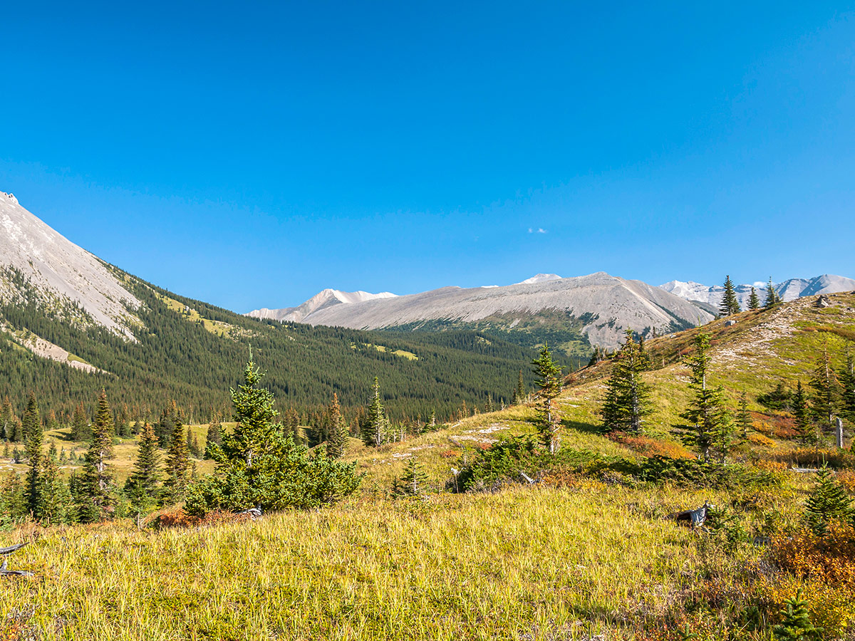 Heading to Rae Lake on Rae Lake backpacking trail near Kananaskis, the Canadian Rockies