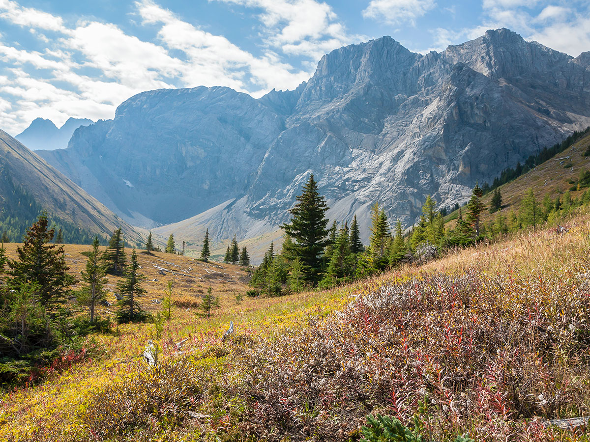 Cresting the ridge and heading down on Rae Lake backpacking trail near Kananaskis, the Canadian Rockies