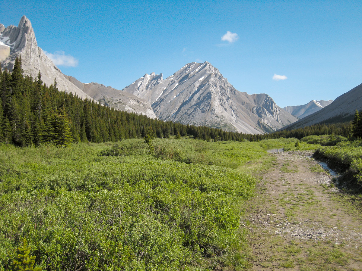Wide path of Tombstone Lakes backpacking trail near Kananaskis, the Canadian Rockies