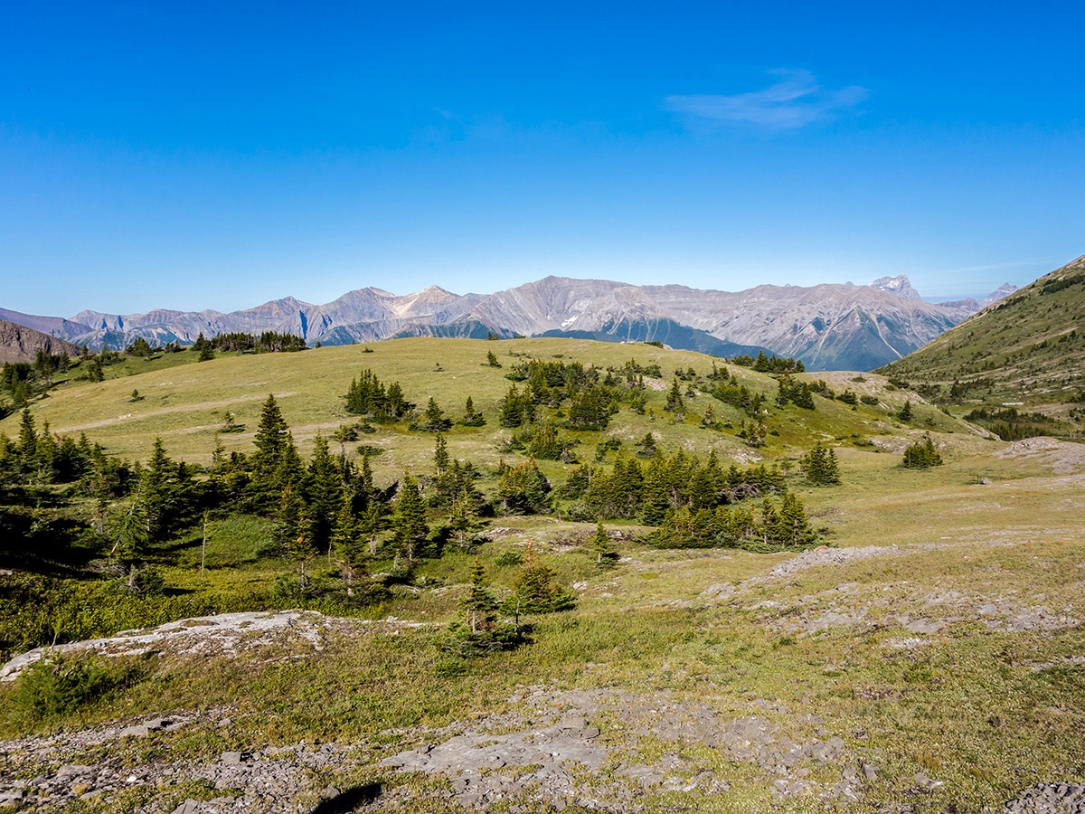 Great scenery on Weary Creek backpacking trail near Kananaskis, the Canadian Rockies