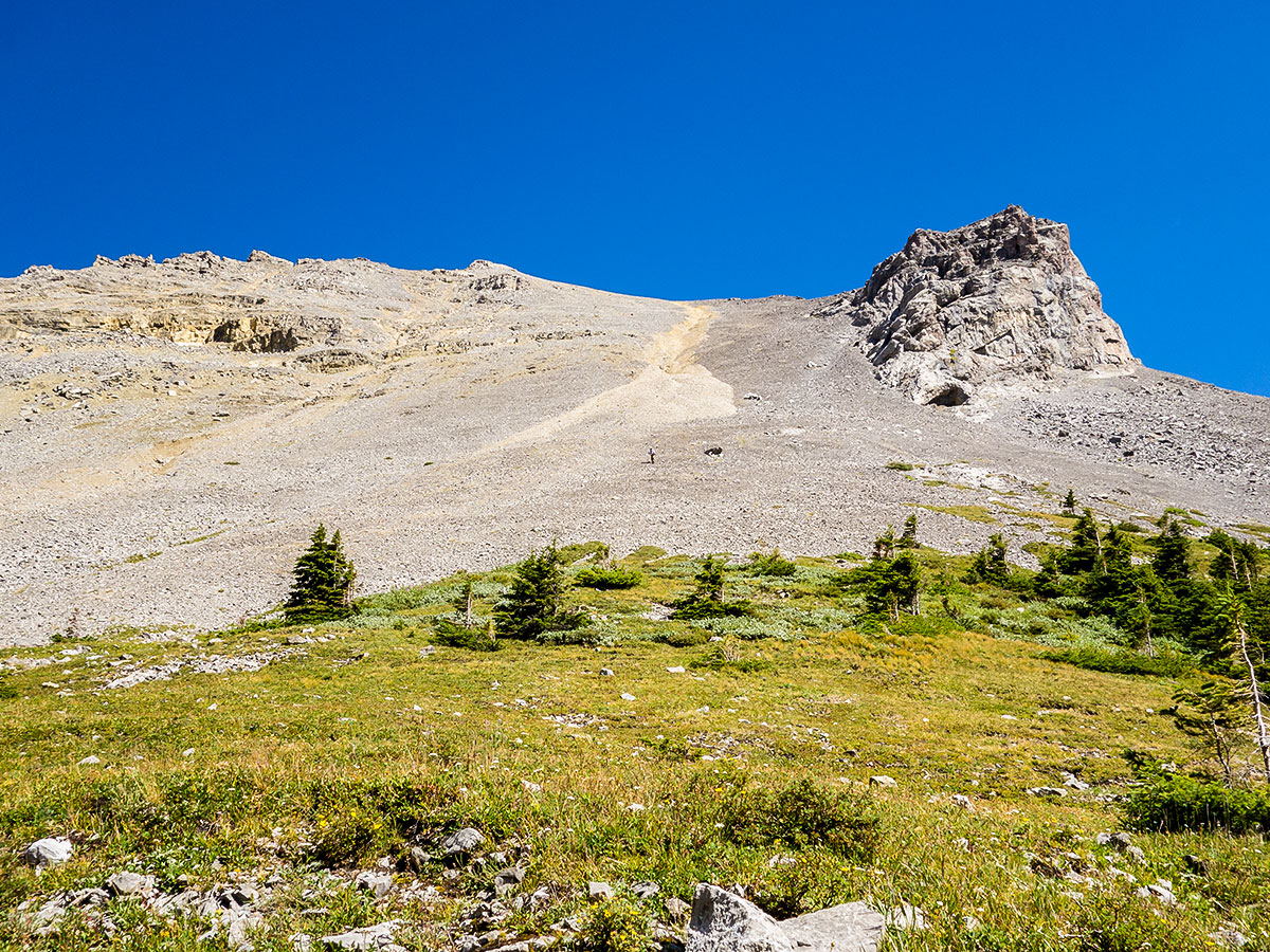 Coming down to the meadows on Weary Creek backpacking trail near Kananaskis, the Canadian Rockies