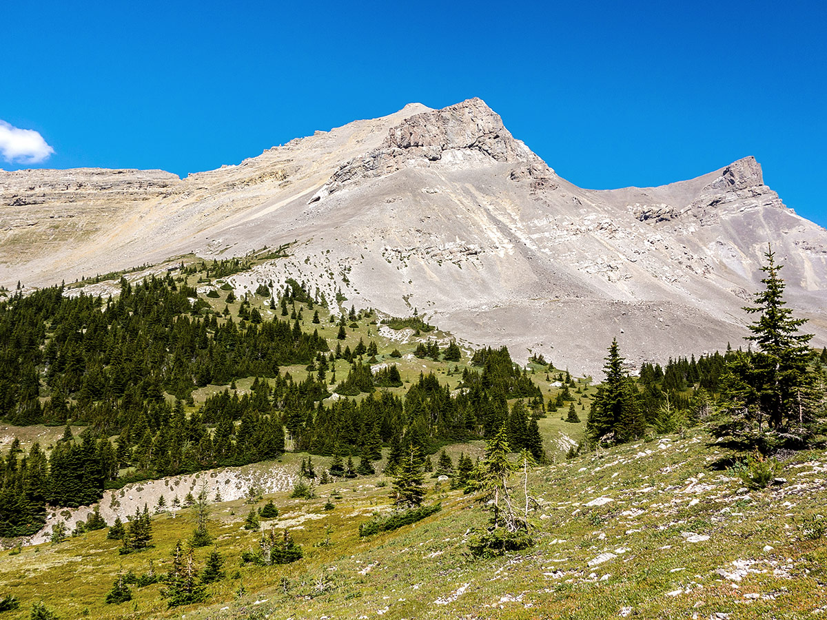 Views of Mount Muir on Weary Creek backpacking trail near Kananaskis, the Canadian Rockies