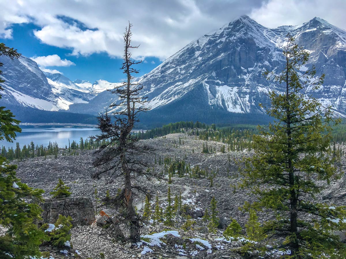 Point Campground and Upper Kananaskis Lake backpacking trail in Kananaskis near Canmore