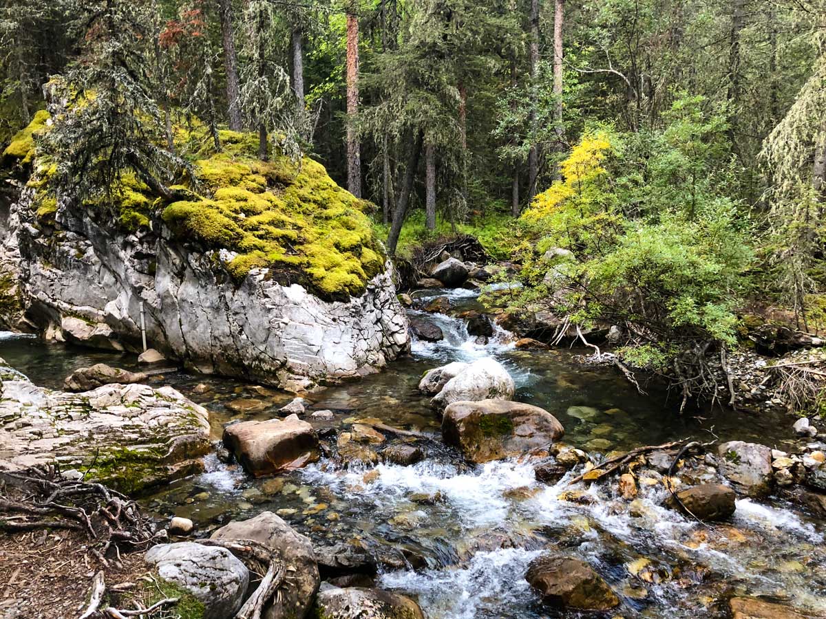 Beautiful creek on Lillian and Galatea Lakes backpacking trail in Kananaskis, Canmore