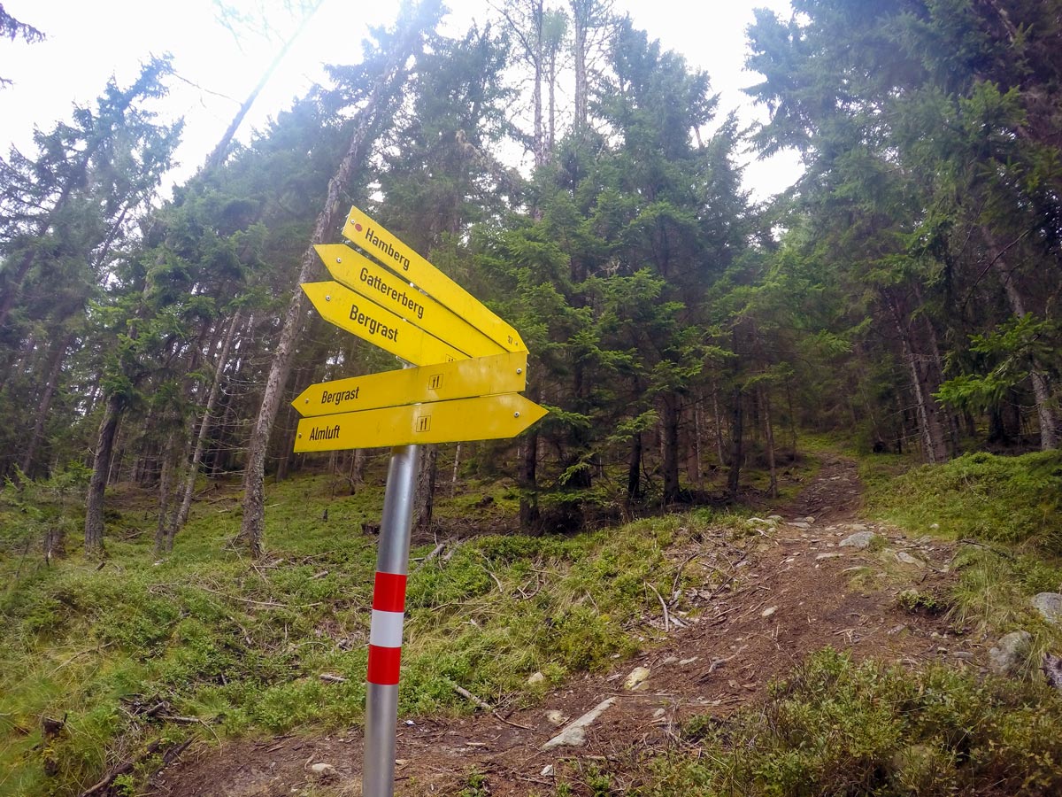Steep path of Hamberg hike near Mayrhofen, Zillertal Valley, Austria