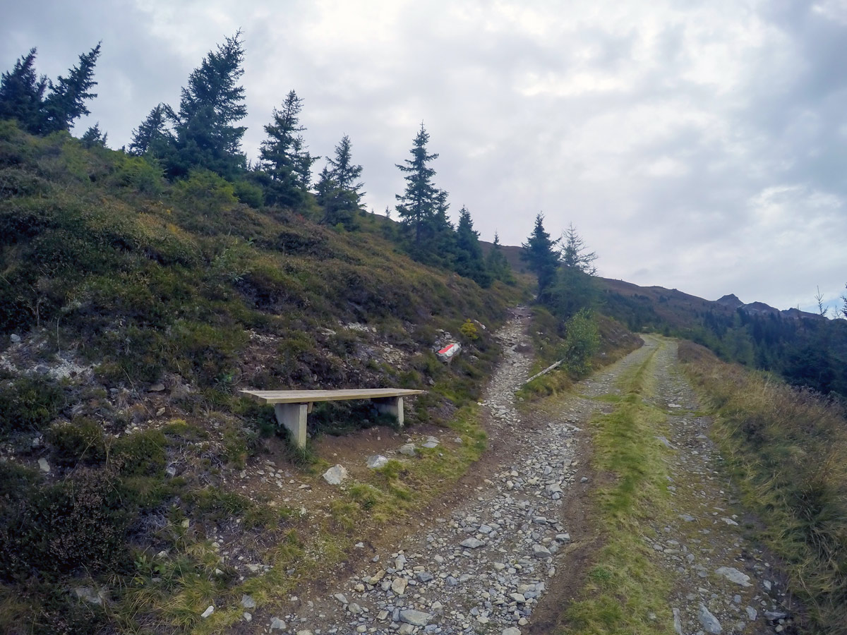Bench along Hamberg hike near Mayrhofen, Zillertal Valley, Austria