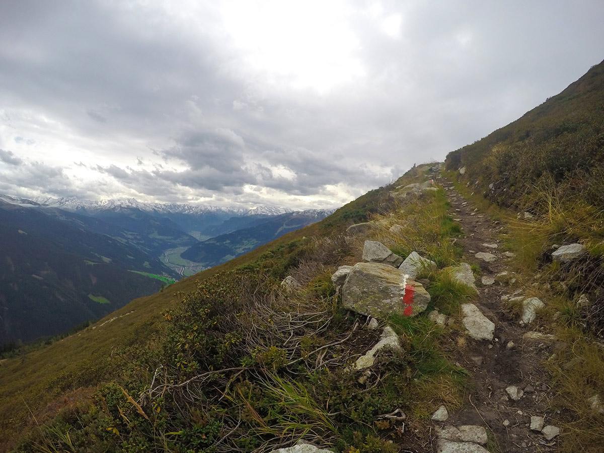 Trail through grasslands on Hamberg hike near Mayrhofen, Zillertal Valley, Austria