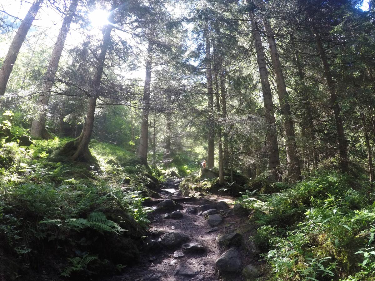 Wide and easy path of Maxhütte hike in Mayrhofen, Zillertal Valley, Austria