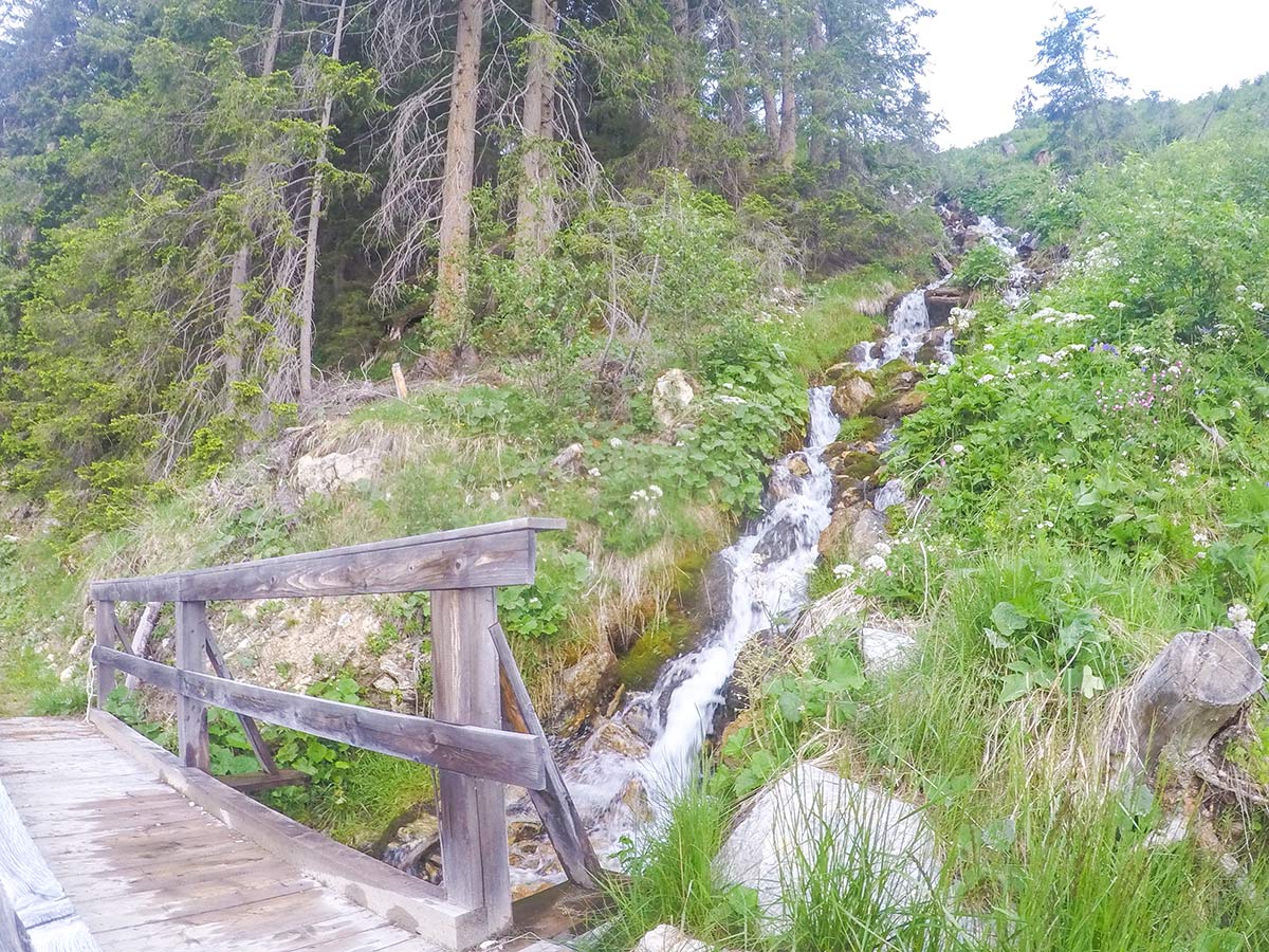 Views of the park on Panoramaweg Penken Hike in Mayrhofen, Zillertal Valley, Austria