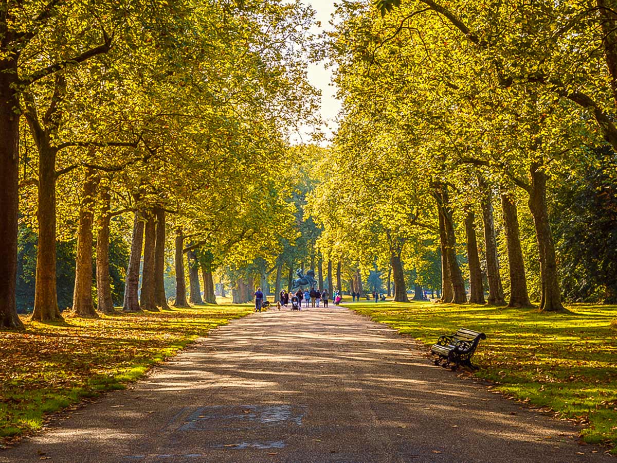 Tree lined street in Hyde Park on a city-walk in London, England, UK