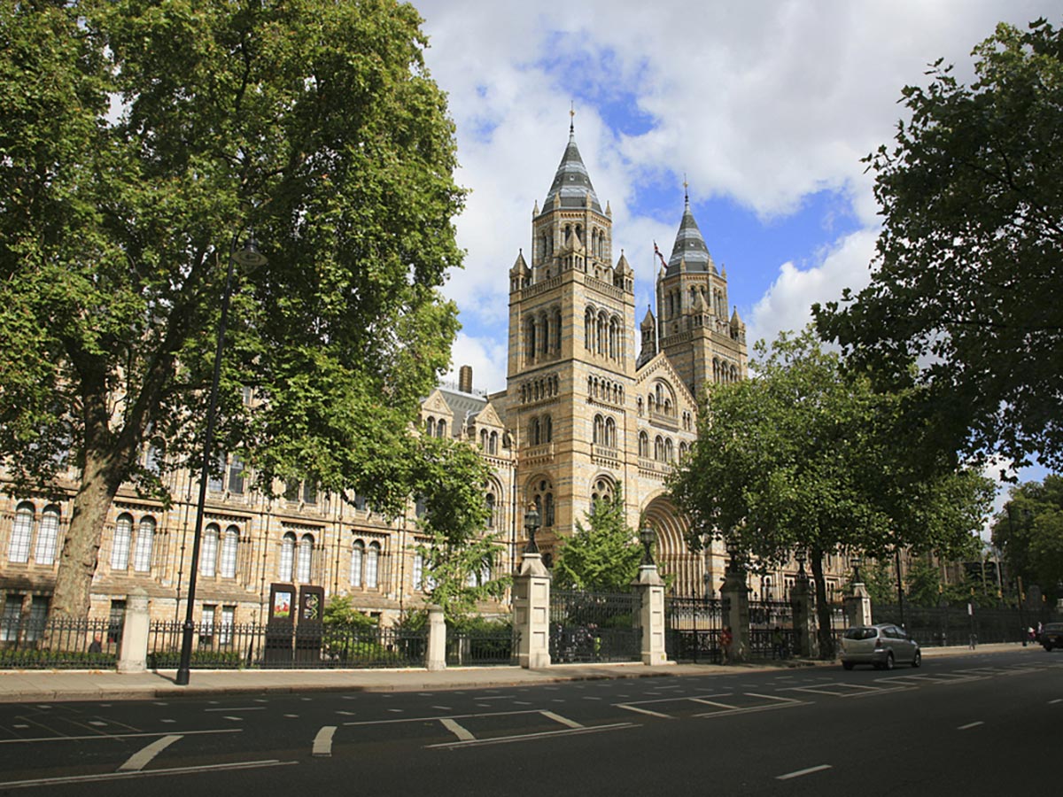 Natural History Museum on Marylebone, Mayfair and Belgravia walking tour in London, England