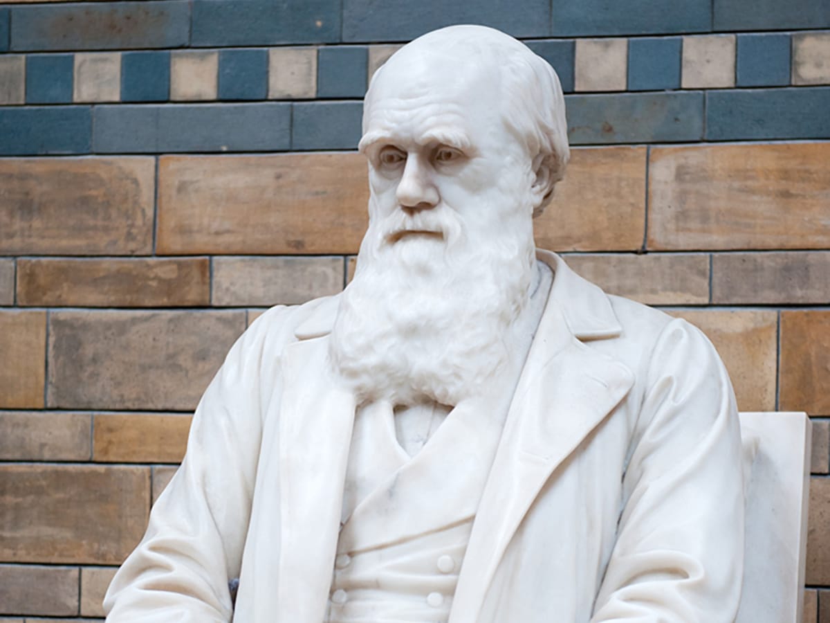 Statue of Charles Darwin in London city walk, England, UK