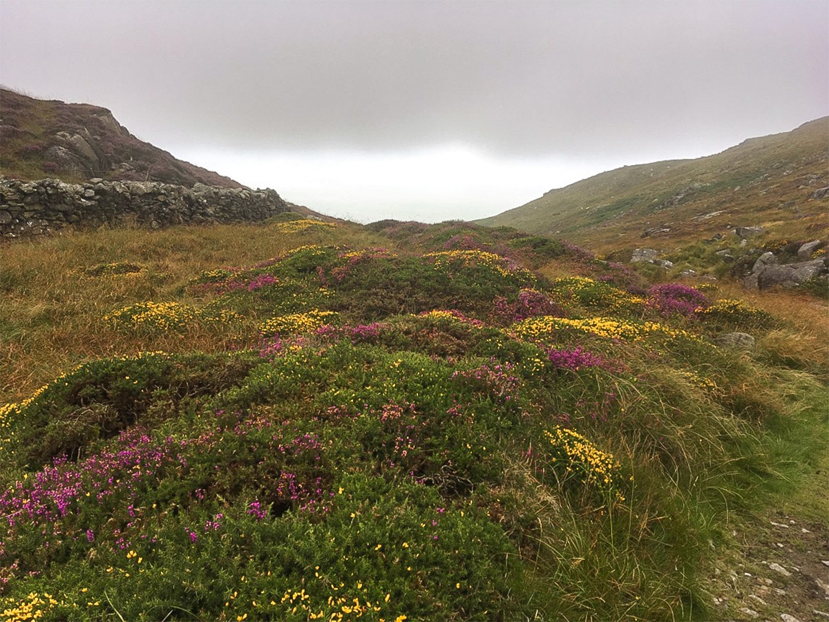 Slopes of Bwlch y Llan on Barmouth Panorama hike in Snowdonia National Park