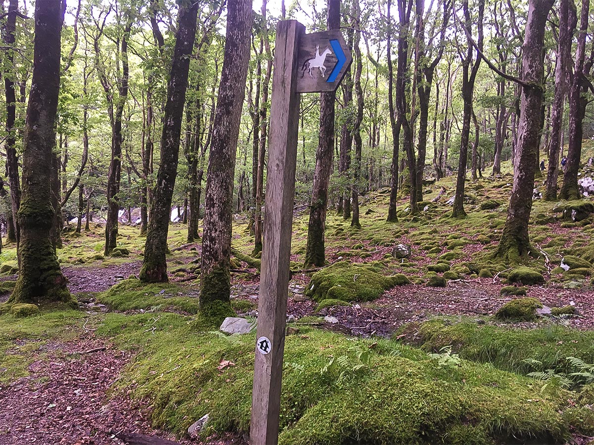 Path towards Afon Gamlan on Dolmelynllyn Estate hike in Snowdonia, Wales