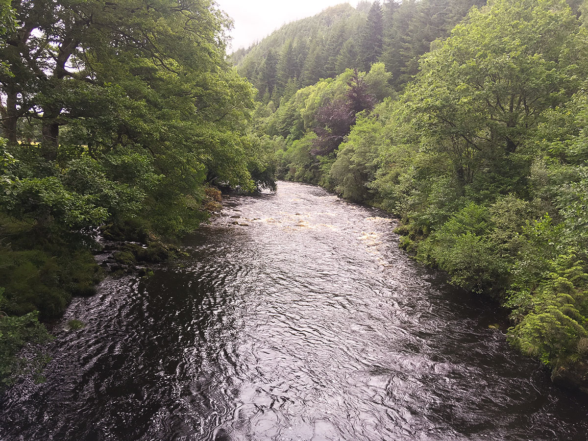Afon Mawddach on Domelynllyn Estate hike in Snowdonia, Wales