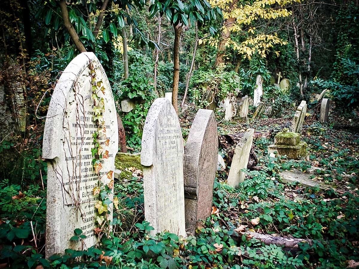 Graves in overgrown Highgate Cemetery on Hampstead to Highgate walking tour in London, England