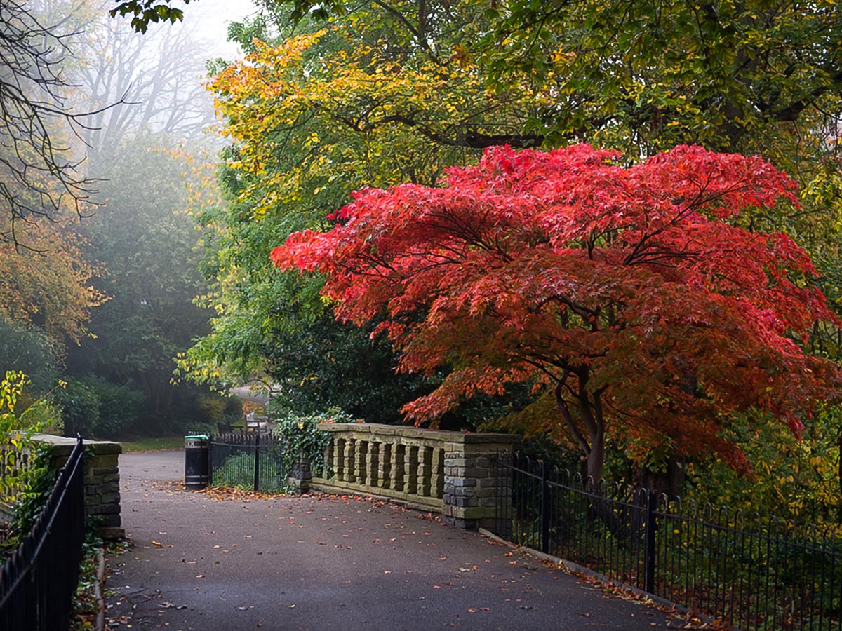 Walking through Waterlow Park on Hampstead to Highgate walking tour in London, England