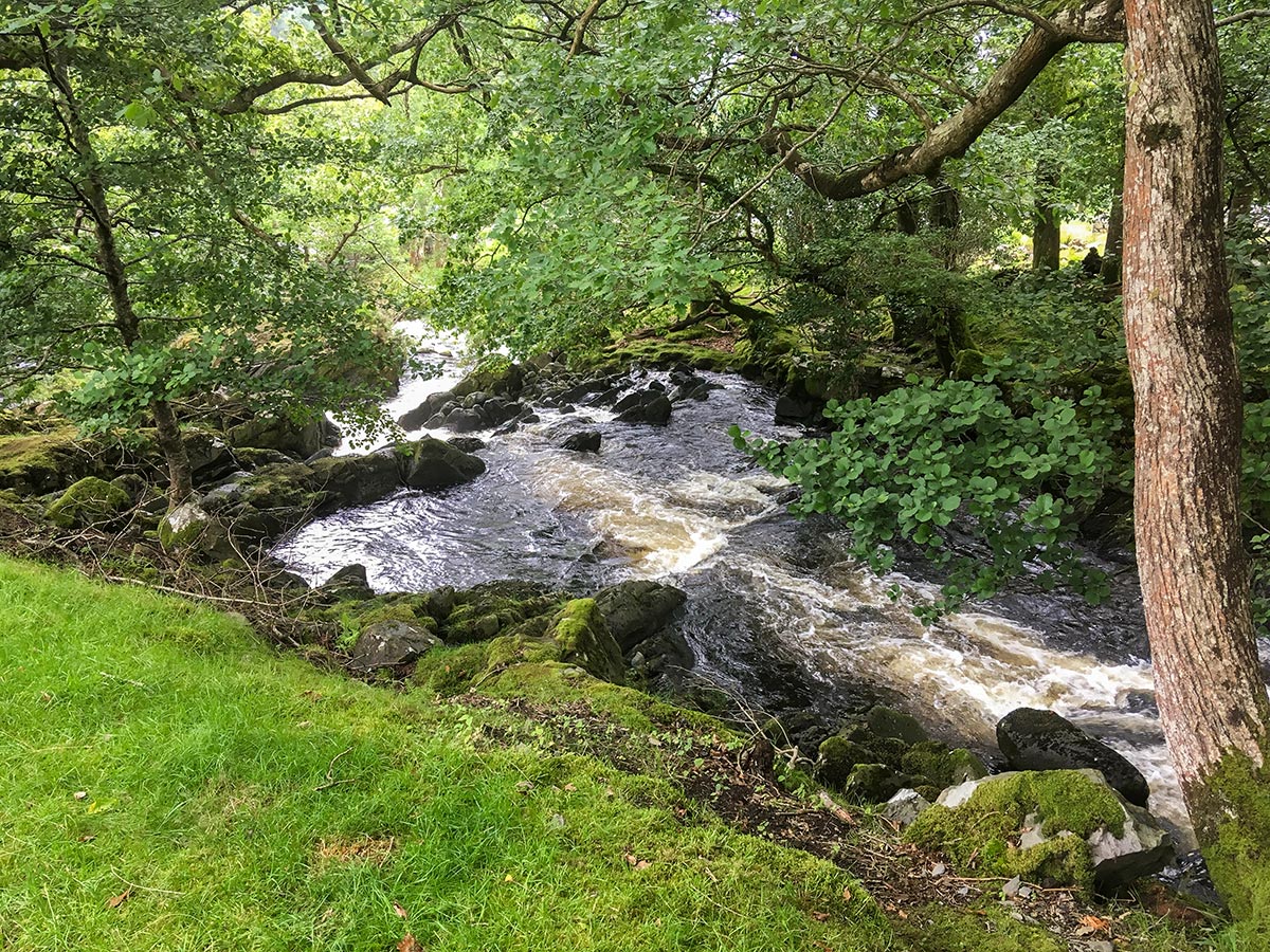 Afon Gamlan on Rhaeadr Ddu and Coed Ganllwyd hike in Snowdonia National Park, Wales