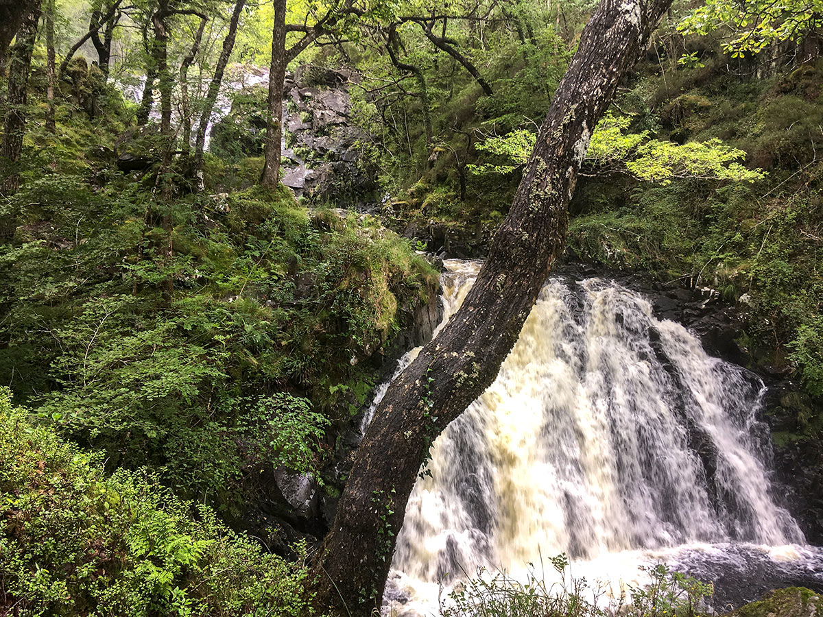 Falls on Rhaeadr Ddu and Coed Ganllwyd hike in Snowdonia National Park, Wales