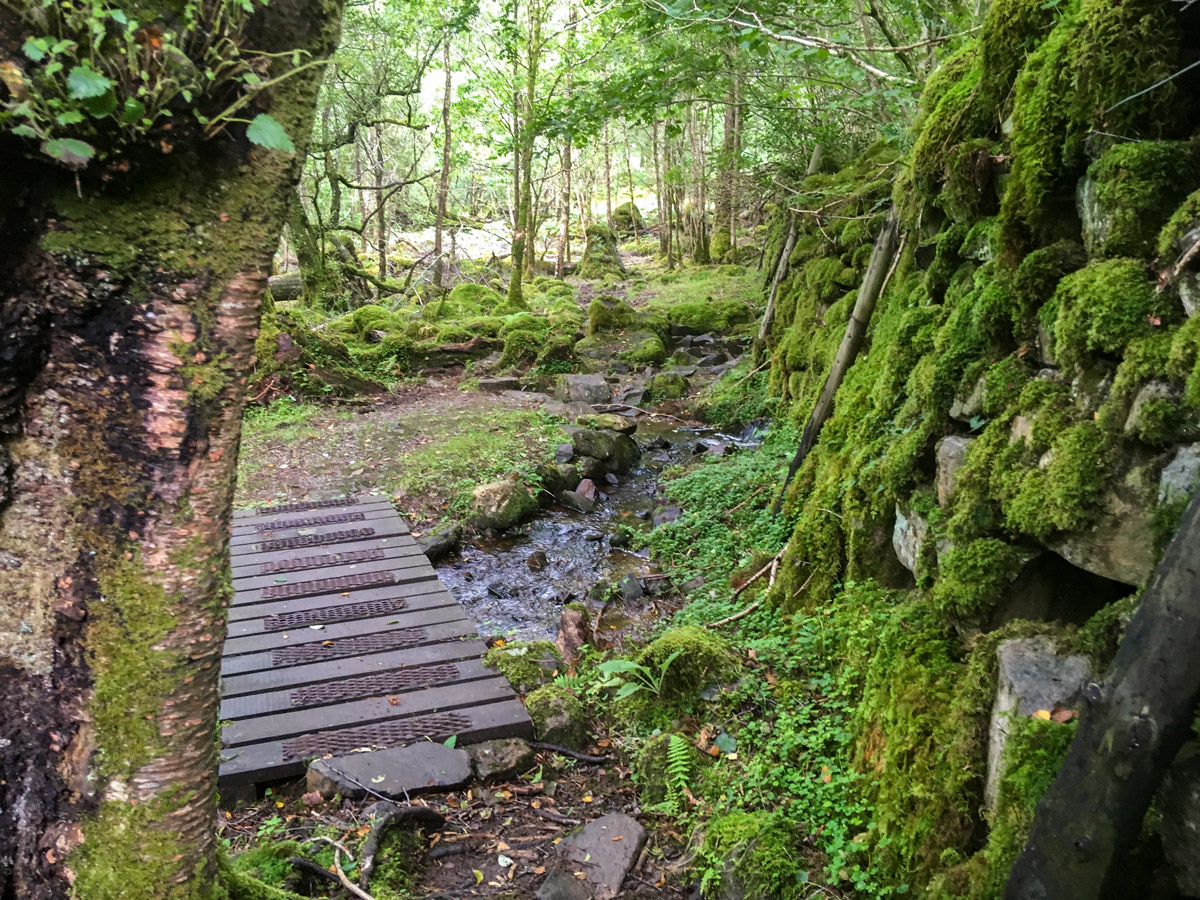 Woodland footpath on Rhaeadr Ddu and Coed Ganllwyd hike in Snowdonia National Park, Wales