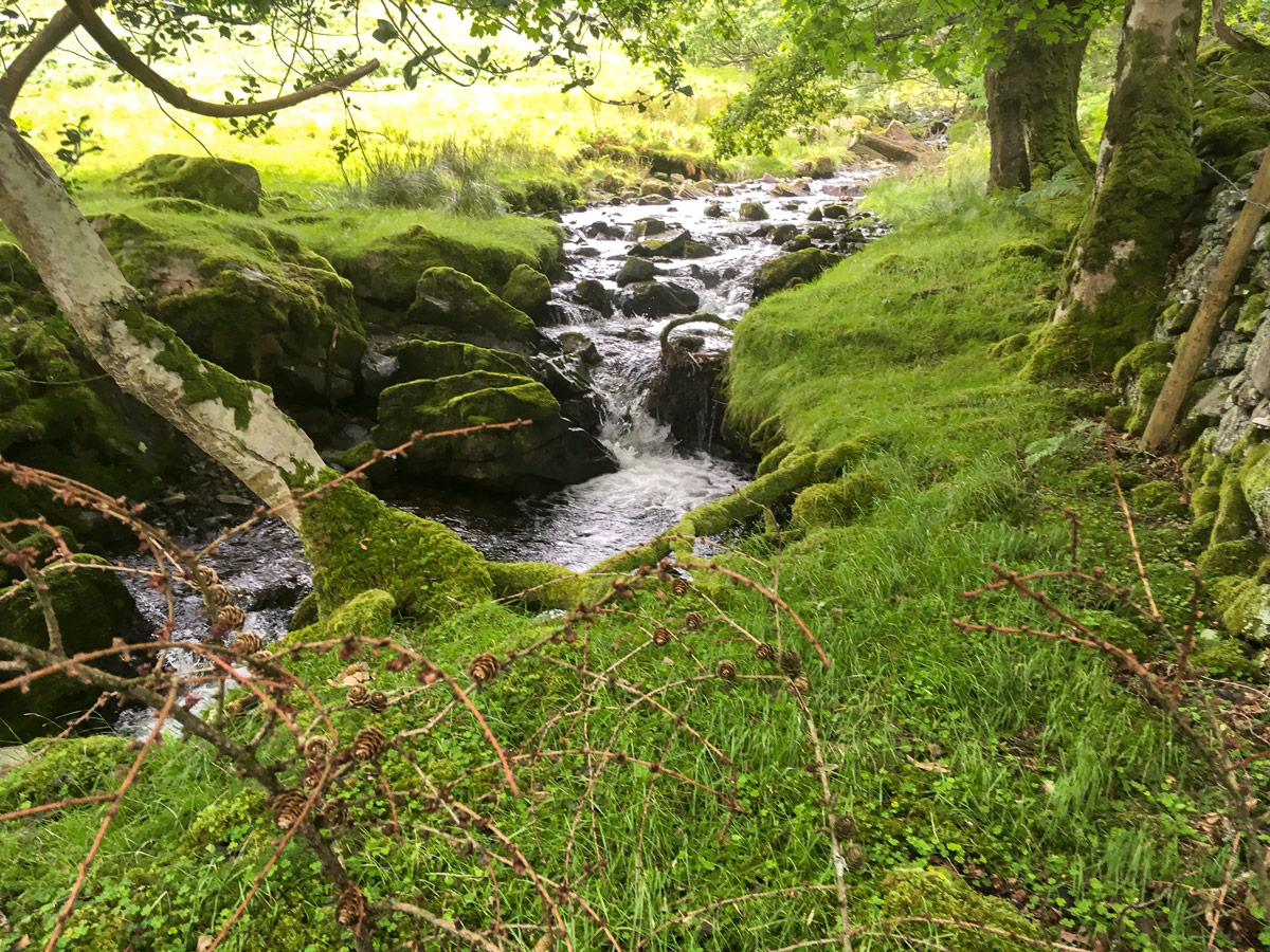 Stream beside the trail on Rhaeadr Ddu and Coed Ganllwyd hike in Snowdonia National Park, Wales