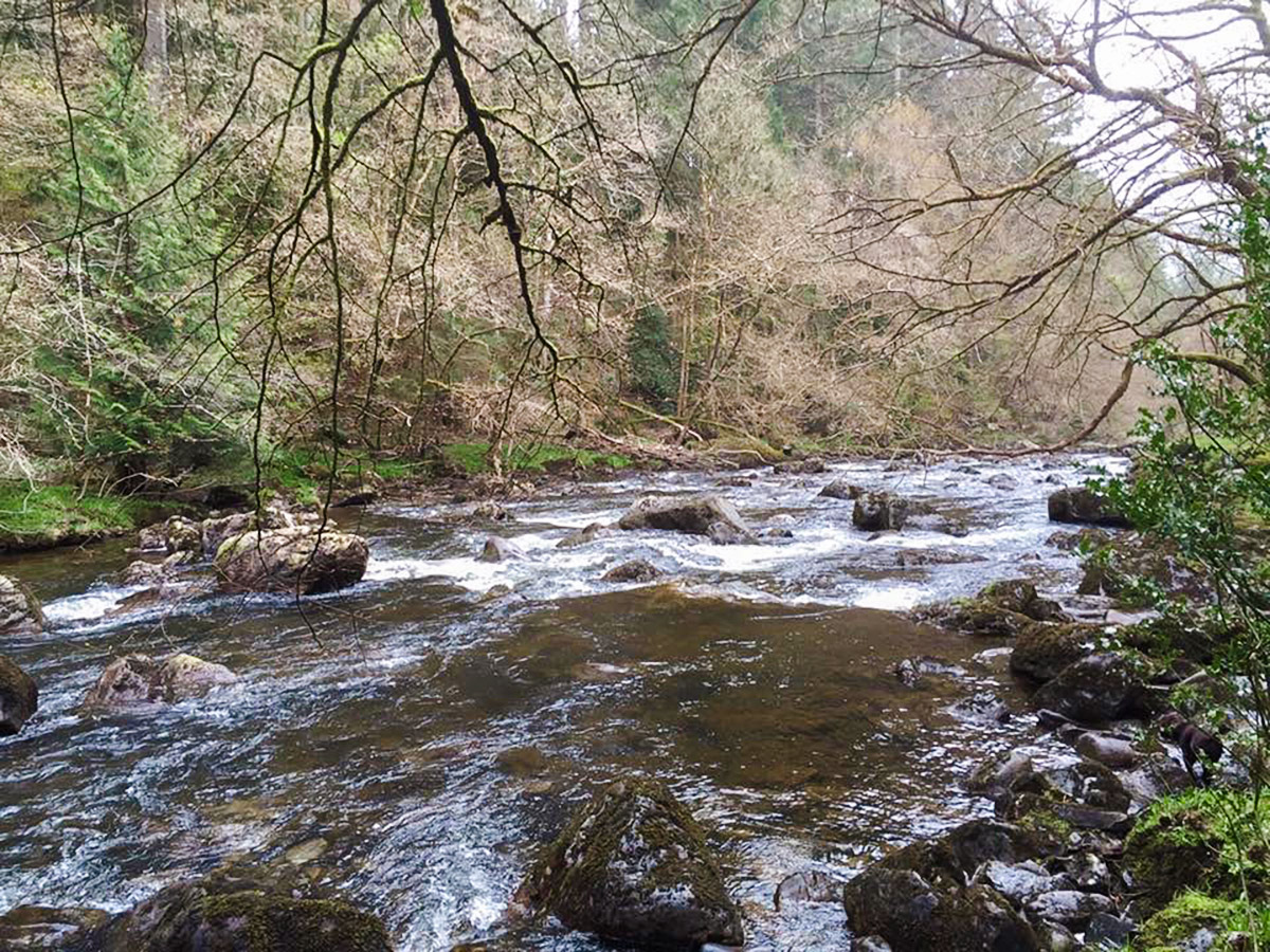 Afon Llugwy on Swallow Falls hike in Snowdonia, Wales