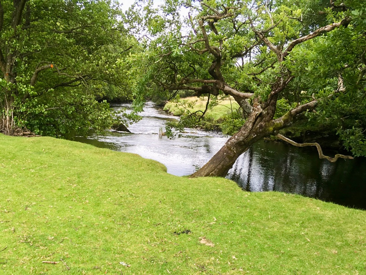 Banks of Afon Llugwy on Swallow Falls hike in Snowdonia, Wales, United Kingdom