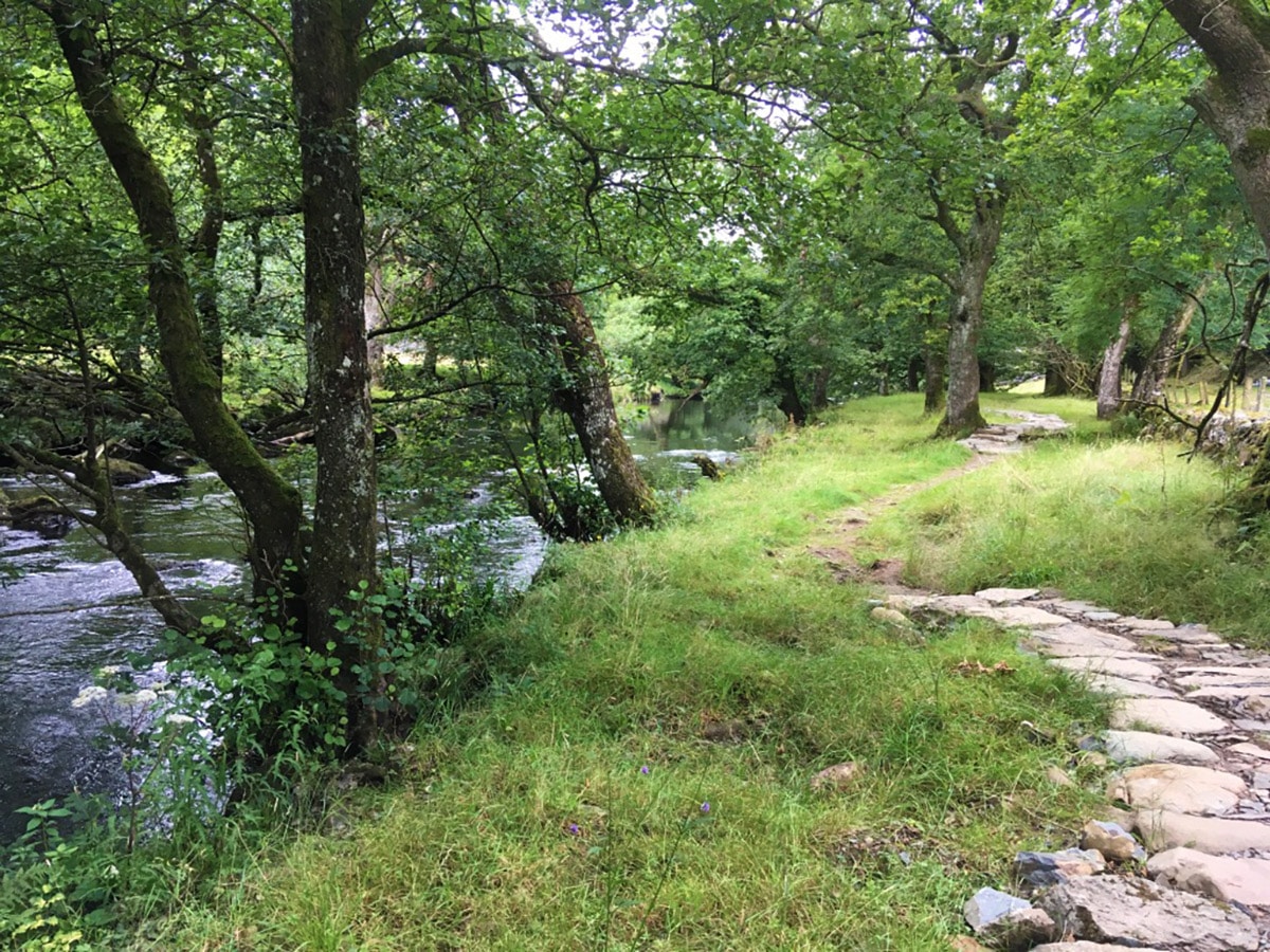 Footpath following shoreline on Swallow Falls hike in Snowdonia, Wales