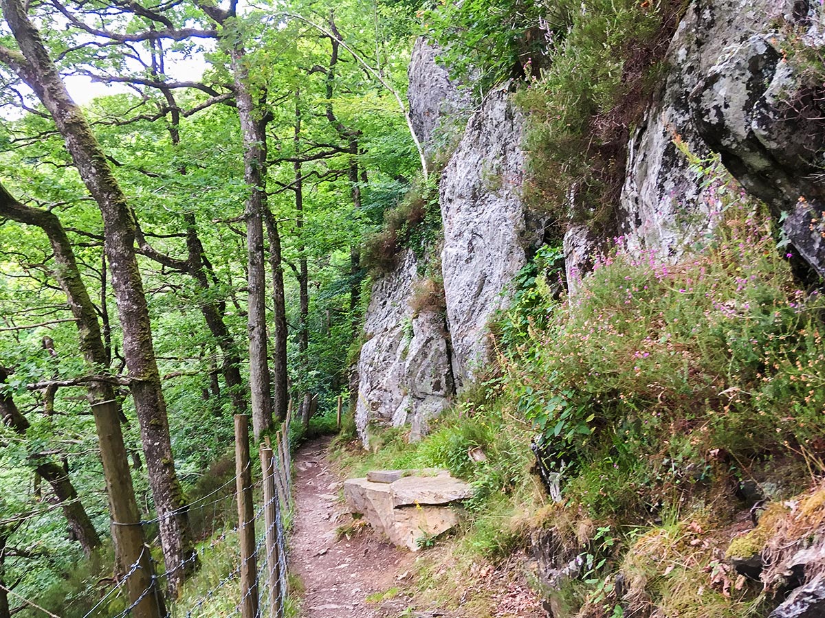 Clifftop path high above Afon Llugwy on Swallow Falls hike in Snowdonia, Wales