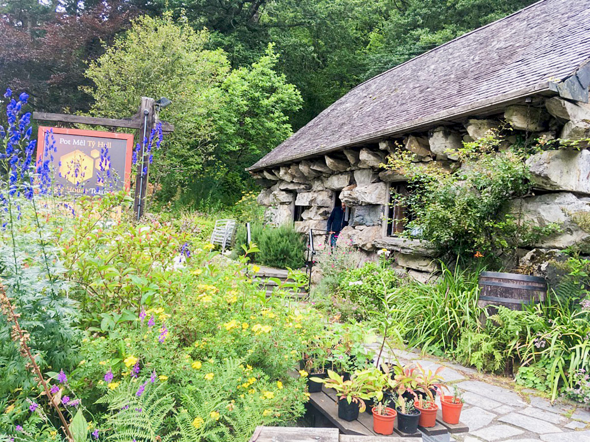 Ty Hyll Tearoom at the Ugly House on Swallow Falls hike in Snowdonia, Wales