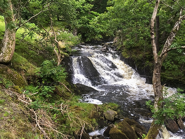 Scenery of Rhaeadr Ddu and Coed Ganllwyd hike in Snowdonia National Park, Wales