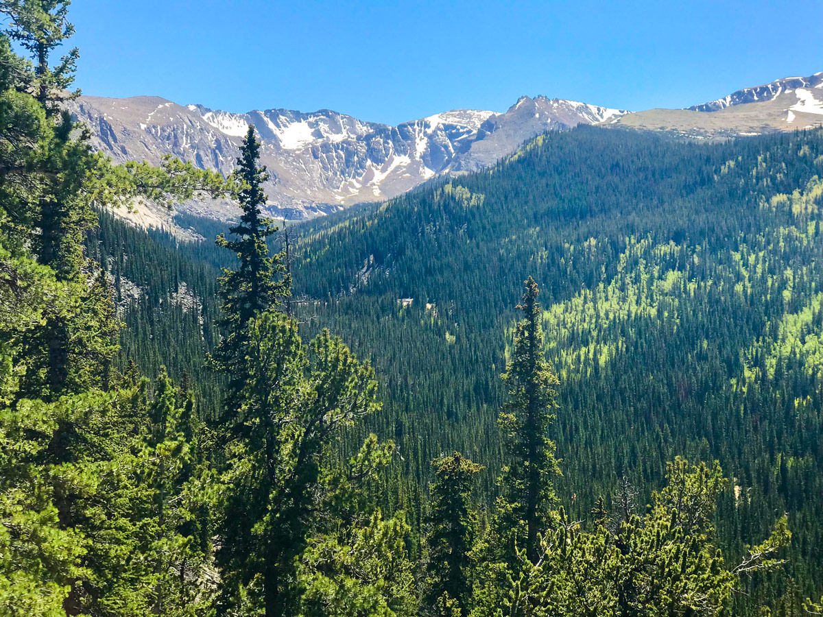 Forest valley on Chicago Lakes hike near Denver, Colorado