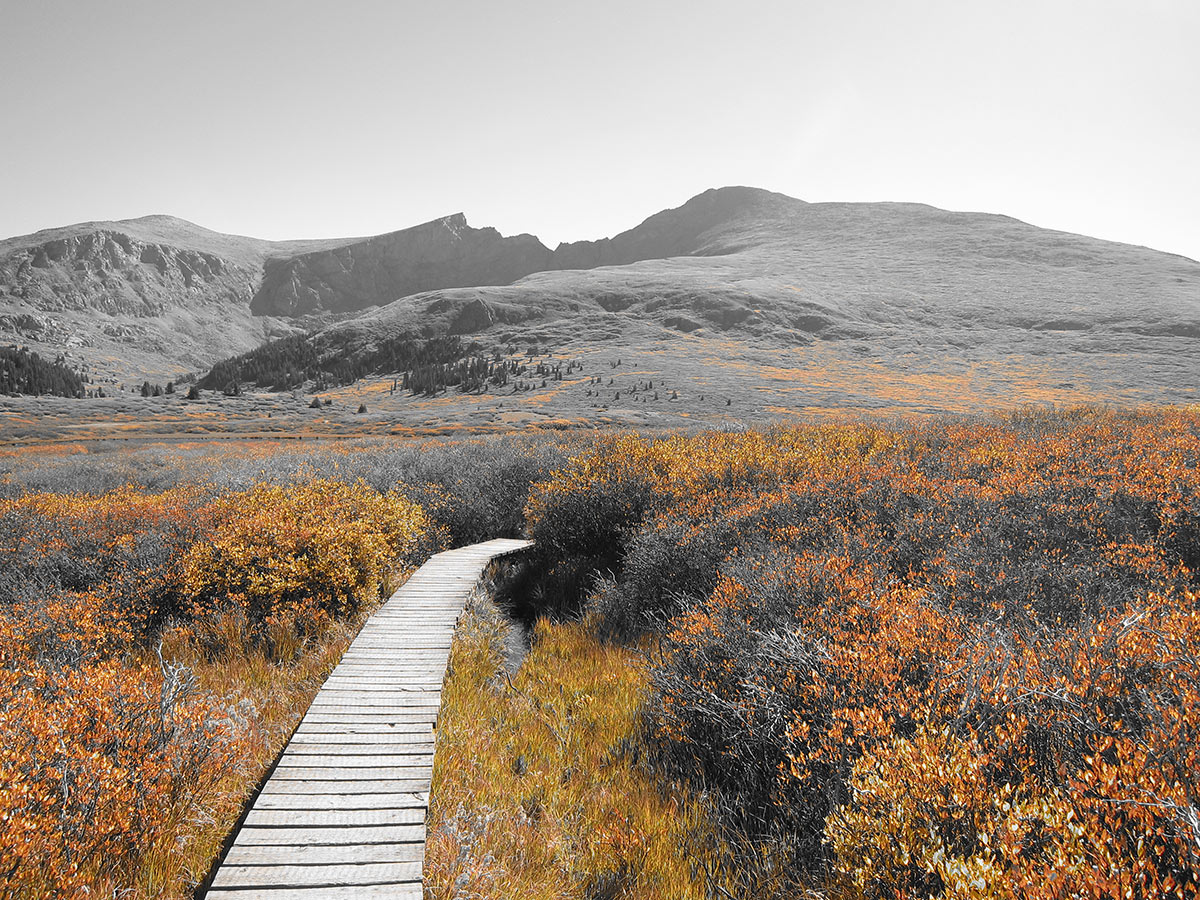 Trail of Mount Bierstadt hike near Denver, Colorado